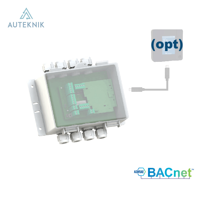 TCR81-BAC-24-W